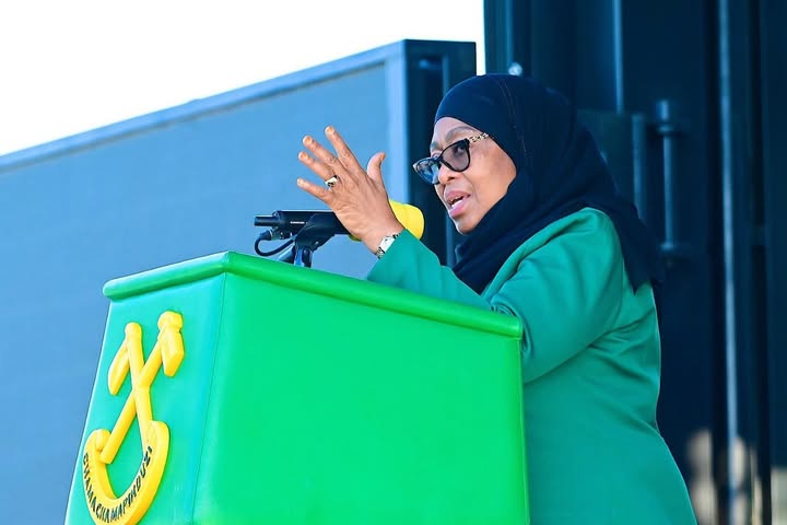 SERIKALI YA CCM KUJENGA UZIO WA MAFURIKO RUFIJI