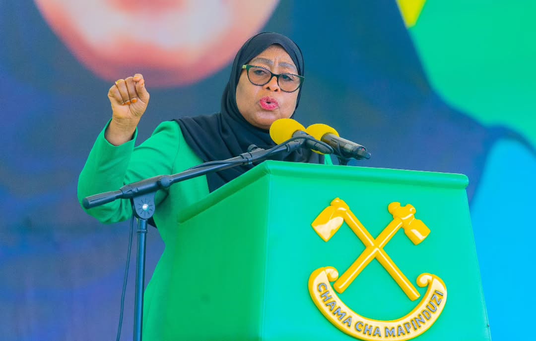 SERIKALI IMEIMARISHA MHIMILI WA TATU WA DOLA